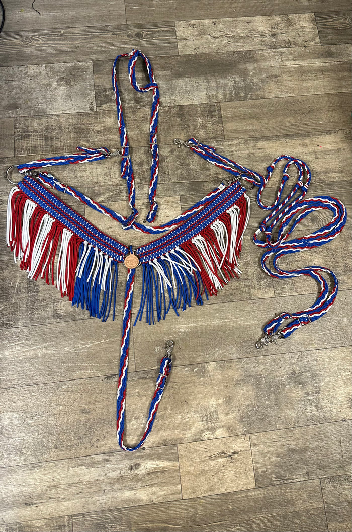 Patriotic wide fringe breast collar tack set