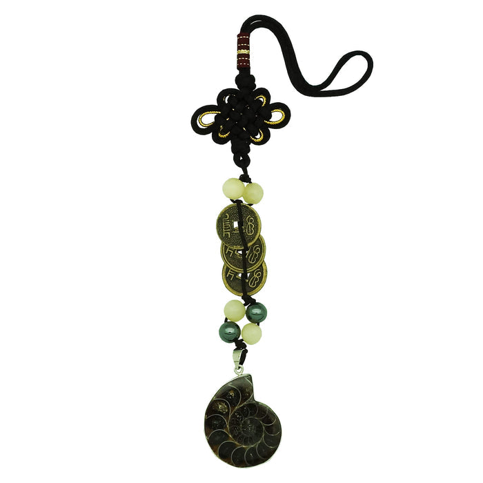 Ancient Ammonite w/ 3 Generation Coins