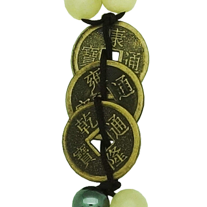 Ancient Ammonite w/ 3 Generation Coins