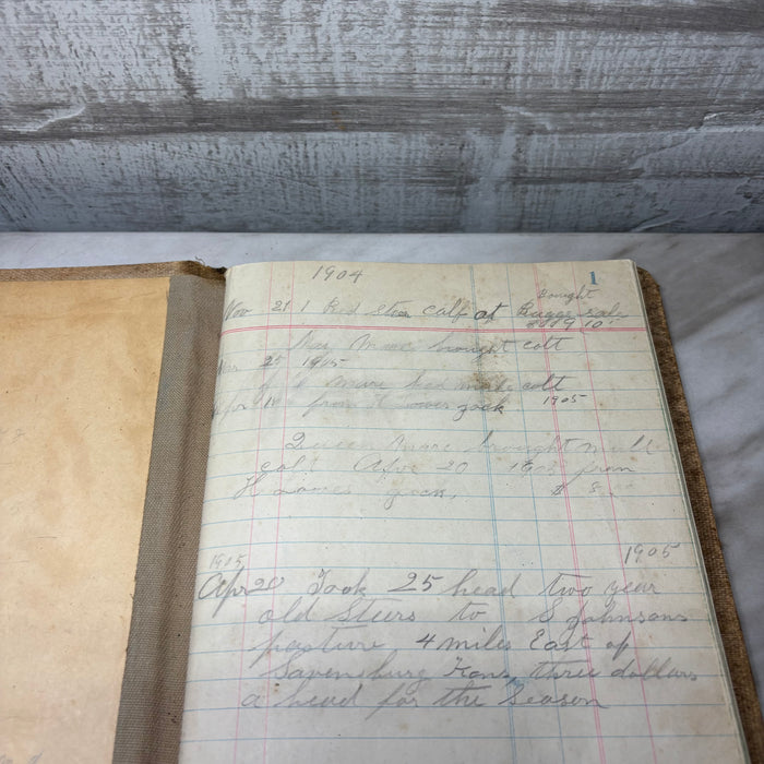 Antique Early 1900s Sales Daybook Ledger