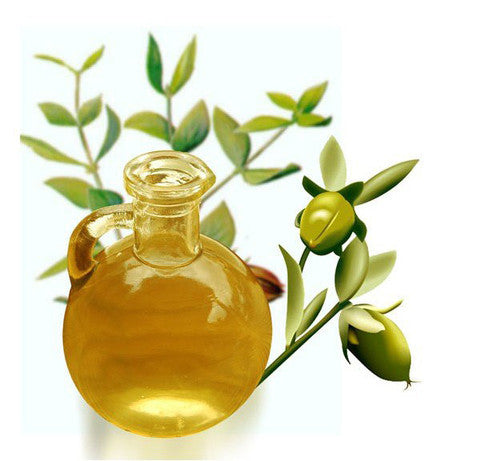 Evening Primrose Carrier Oil