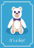 DoorFoto Door Cover It's A Boy Sign