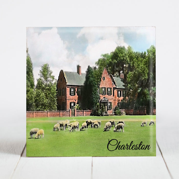 Middleton Place and Gardens with Sheep Grazing - Charleston, SC