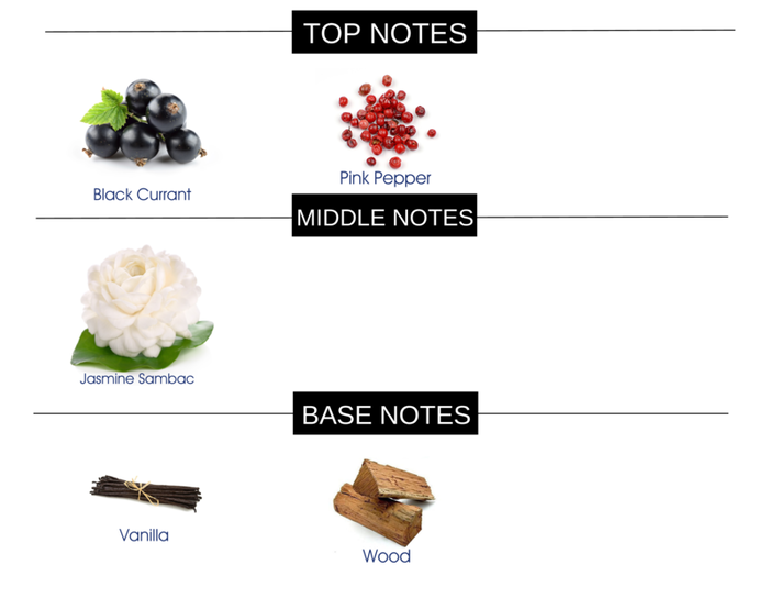 MODERN FEMINITY COMPARE TO BORN IN ROMA FOR WOMEN FRAGRANCE HOME AROMA OIL - Ceed Fragrances