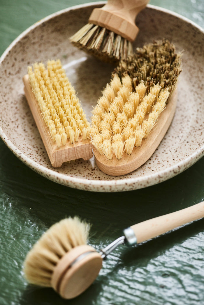Nail Brush