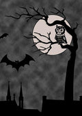 DoorFoto Door Cover Owl Full Moon