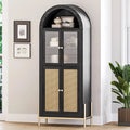 Rattan Black Arched Storage Display Cabinet Canva Home
