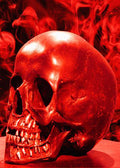 DoorFoto Door Cover Red Skull
