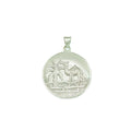 Silver Camel