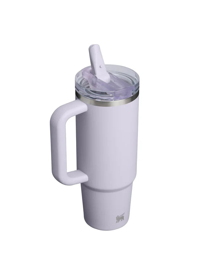 Stanley The Quencher ProTour Flip Straw Tumbler 30oz - Purple Dust Home & Living > Drinkware > Tumblers & Travel Mugs > Insulated Tumblers > Stanley Hyde Boutique
