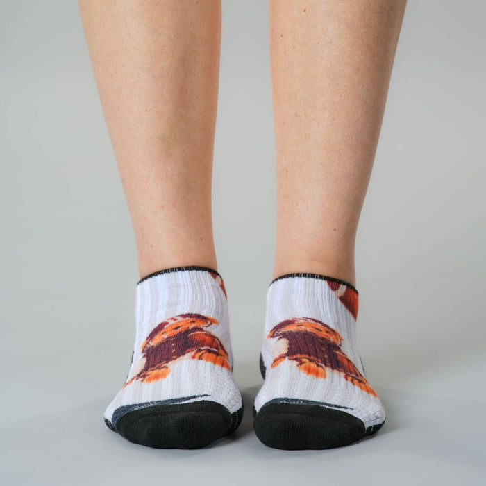Teddy Bears Ankle Compression Socks 5-Pack Bundle