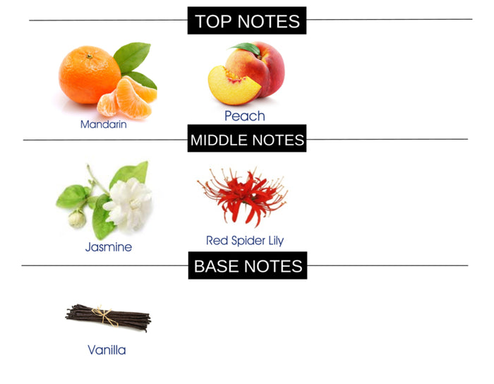 VELVET PEACH COMPARE TO I WANT CHOO FOR WOMEN FRAGRANCE BODY BUTTER - Ceed Fragrances