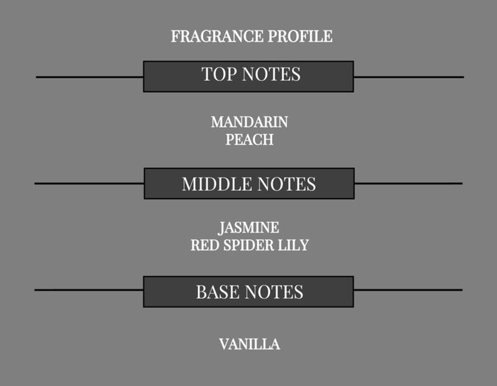VELVET PEACH COMPARE TO I WANT CHOO FOR WOMEN FRAGRANCE BODY SPRAY - Ceed Fragrances